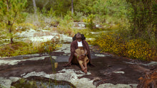 Load image into Gallery viewer, Herbal Spa Day Retreat