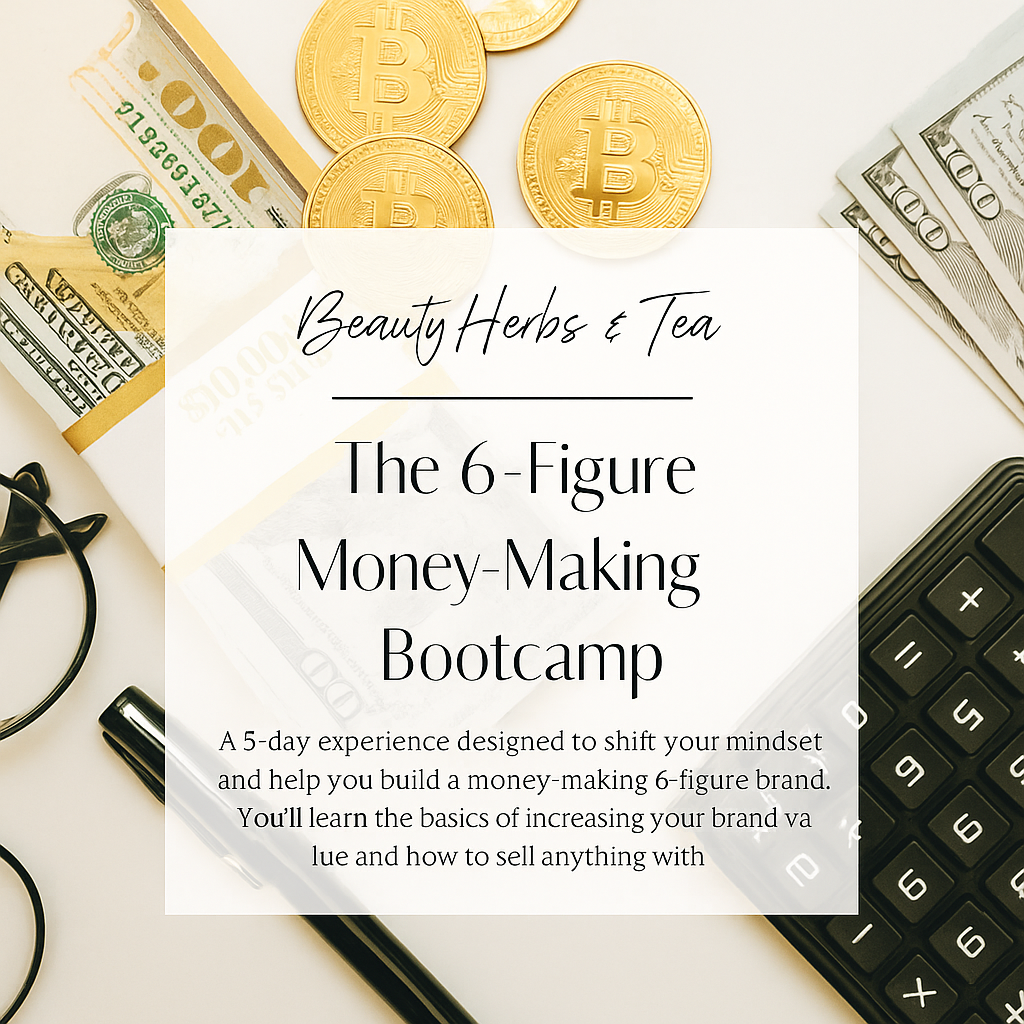 The 6-Figure Boot Camp